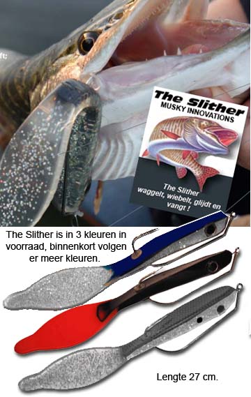 Slither.jpg